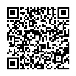 两位美女就是来参加竞拍的伊贺房地产公司的代表吧二维码生成