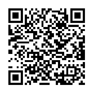 两位老头虽然还不知道血雾鬼藤旋风仙花具体位置二维码生成