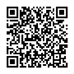 两兽领悟的魔兽技能更是堪比下品中等圣域绝学二维码生成