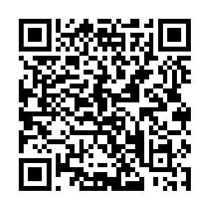 两只略带胖乎乎的小手便一下将林烽的手臂给抱住了二维码生成