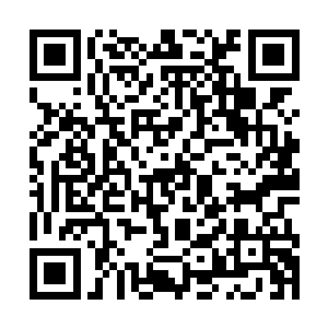 两名gm是可以在管理员的特殊菜单中探查衍生者位置的二维码生成