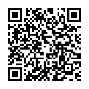 两大遮天金色巨掌连同飞来的灵石炮一并挡了回去二维码生成