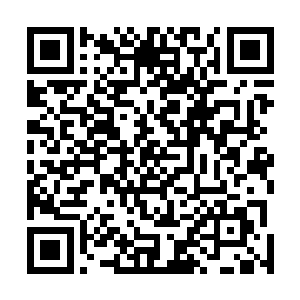 两家公司几乎用程序内允许的最快速度完成了最后的审核二维码生成