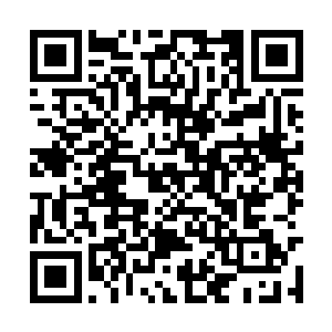 两张冰冷的脸庞此刻也因为愤怒而变得通红通红的二维码生成