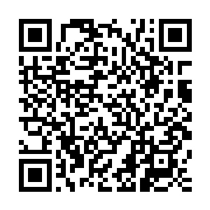 两种截然不同的矛盾想法在格温妮丝的脑海里不断撕扯碰撞着二维码生成