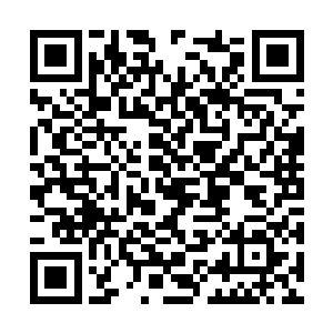 两者之间的唯一区别是其中一颗内中有黑色的杂质二维码生成