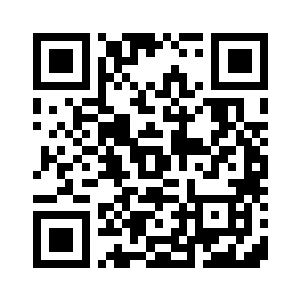 两颗爆炸穿甲阻击子弹弹二维码生成