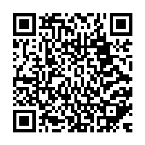 严承憬根本想不到他以后水深火热的生活完全得自他的兄弟爱二维码生成