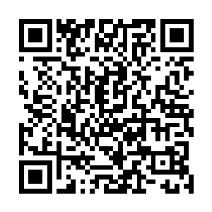 严老夫人这一辈子最厌恶的便是严老太爷的原配夫人张氏二维码生成