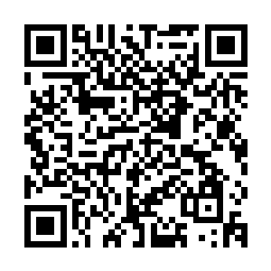 严默此时并不知道原战在大闹王城时手下留情没有伤害一条性命二维码生成