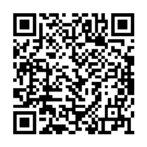 中国队根本就没有获得去参加柏林世界杯的资格二维码生成