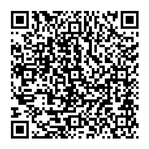 丰厚到可以让秦方许多技能的等级都刷上宗师级……其中就包括秦方现在非常需要的一个技能……火球术二维码生成