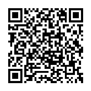 丹尘子听到龙傲天的话之后顿时有些惊讶的说道二维码生成