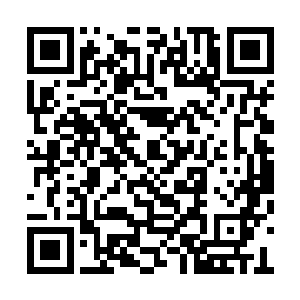 为了跟你玩不惜闹出这么大动静暴露自己的存在二维码生成