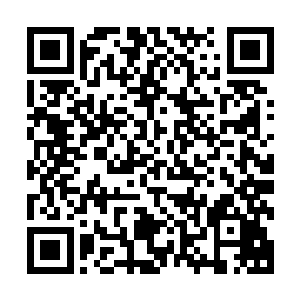 为了过路而杀死一条无辜的大蛇和为了生存而杀死是不一样的二维码生成