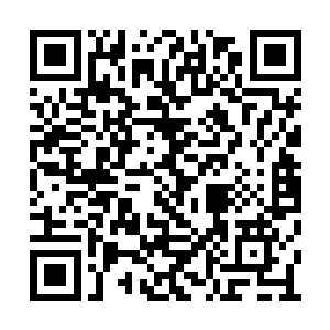 为什么一个黄级生可以如此娴熟的运用符文机甲二维码生成