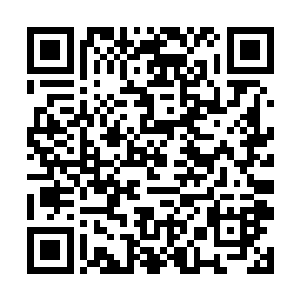 为什么不想想若是上面藏了一个大能者进入门族世界二维码生成