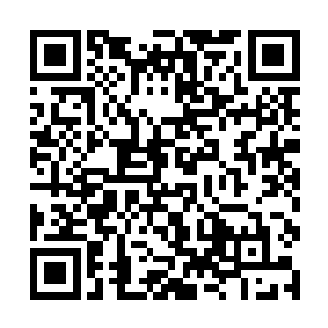 为什么以前身为恶少的自己会偏偏对何珊珊手下留情二维码生成