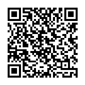 为什么会这样……不是我的错……为什么现在会这样二维码生成