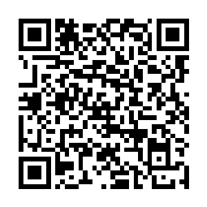 为什么你会觉得我们的神魂对解决她现在这个情况有用二维码生成