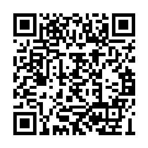 为什么只有生命才可以操纵这种所谓的能量粒子二维码生成