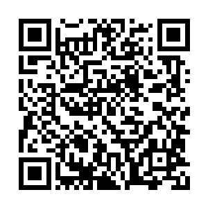 为什么叶家在某个特定时期没有经历太大的风浪二维码生成