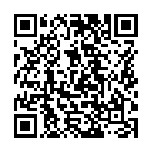 为什么大长老从一开始就不扶持任何所谓的圣子……二维码生成