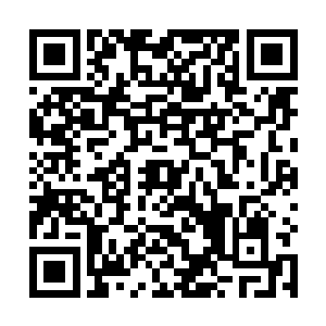 为什么怂了几个月的何少辉会突然间敢欺负到我这里来二维码生成