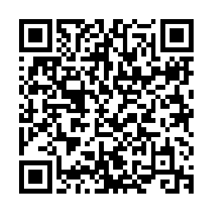 为什么我们要成立一个修炼的门派却依旧要沿用青年帮这个名字二维码生成