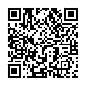 为什么敖焚如此暴躁的脾气却始终没有跟水枯皇真正撕破脸皮二维码生成