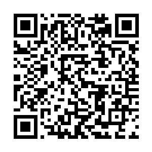 为什么绝大部分人可以表现出相对平静和理性的状态二维码生成
