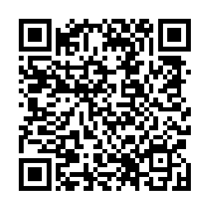 为何金乌族的人会眼睁睁的看着人族在这片土地上生存了二维码生成