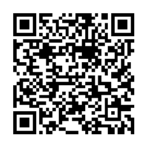 为时一个小时的表演收获了观众们潮水一般的掌声二维码生成