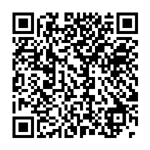 为皮克王国的经济发展和平定由美国导演的叛乱做出了巨大的贡献二维码生成