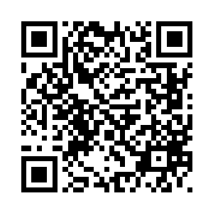 为罗家的后人多改善一点生活状态二维码生成