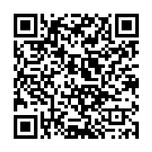 主人一个普通凡人根本承受不了来自龙神大人的惩罚二维码生成