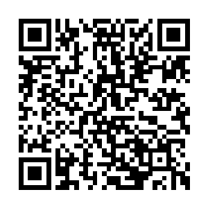 主动权就已经从师丝桐手上移到了琴瑟色手上了二维码生成