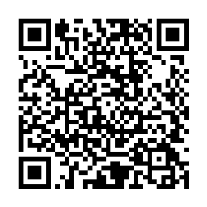 主持人在与会二千多位明星的热烈掌声中登上前台二维码生成