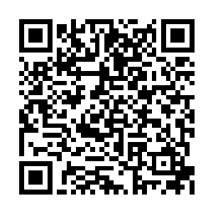 乃是因为风铃正在与那武力阵法内的家伙们交战二维码生成
