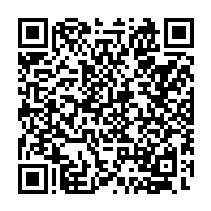 乃是在下用东荒朱蟾的丹液配合三十余种不同的毒液炼制而成的毒丹二维码生成