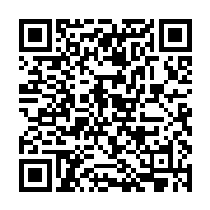 之前也有一系列往这方面发展的专长给宠物增加力量二维码生成