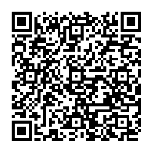 之前他们在陪同孙震视察城郊蔬菜基地和优质稻培育基地时就已经见识了孙震的风格二维码生成