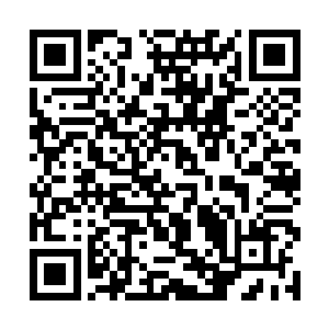 之前他就已经从玉洛和那小极宫长老的交谈中了解过二维码生成