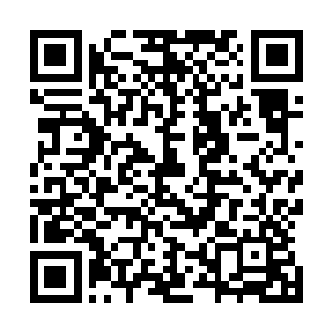 之前帮他们用石膏固定手臂的那个医生或者是护士也有问题二维码生成