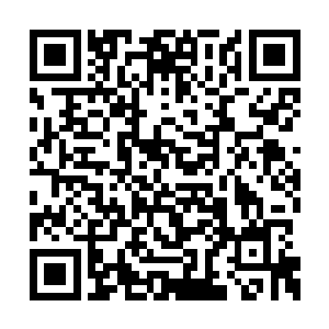 之前怕江逸灭杀他没有去想办法冲破神核的封印二维码生成