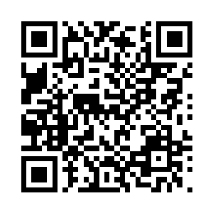 之前感应到的强大气息似乎不是它们二维码生成