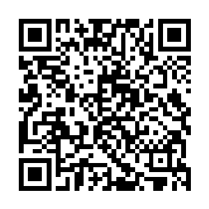 之前模糊时候环绕着外层的起起伏伏的无数线条清晰起来二维码生成