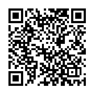 之前那离开家体验的生活其实还是在家里的背景支撑下二维码生成