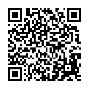 乖乖排队的那数千人此刻也都用看智障一样的目光看着战北野二维码生成