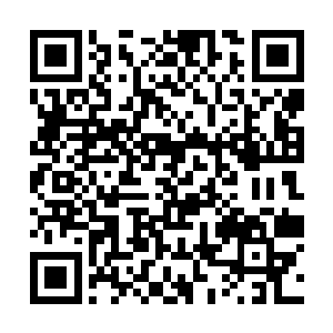 九五七号三万兆红晶拍得最后一轮十万张五品破法弓二维码生成